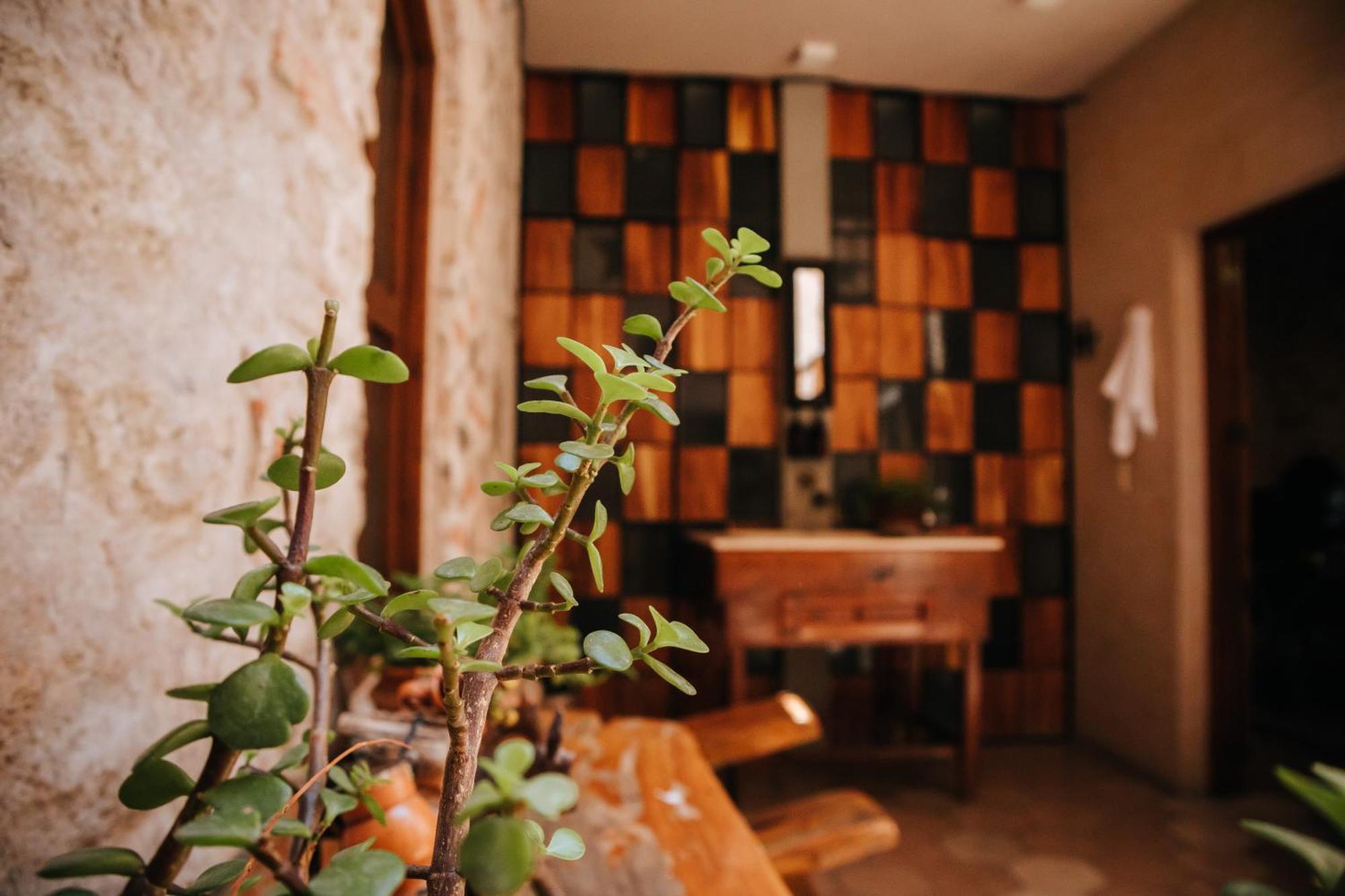 סאן מיגל דה אלנדה Hotel Casa 88 מראה חיצוני תמונה